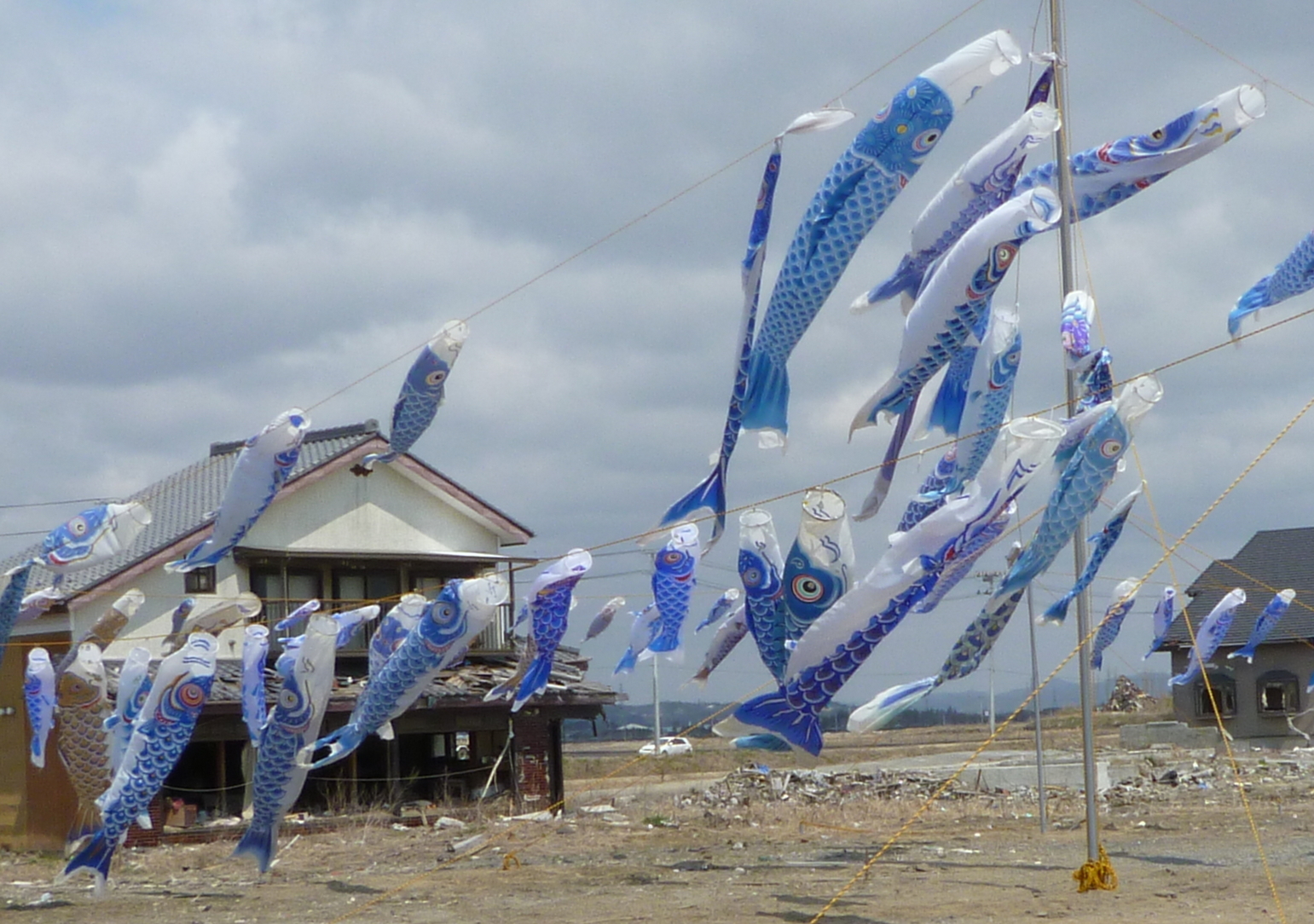 �y�V�эH�[�@�y��