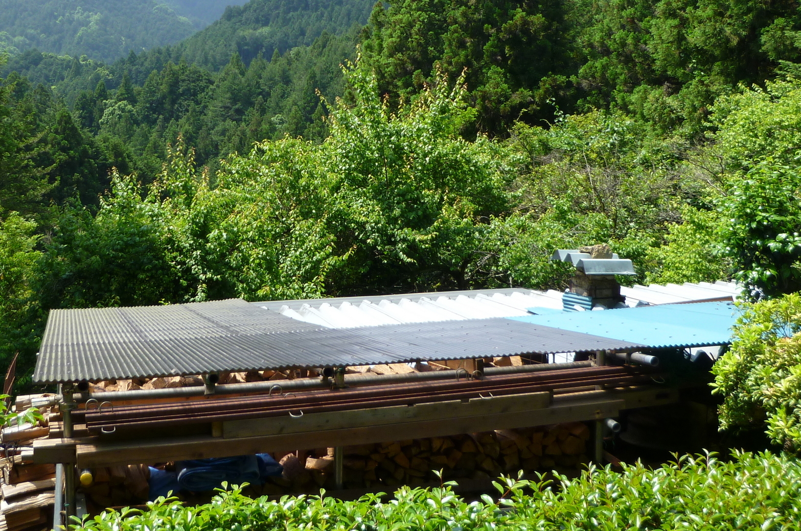 �y�V�эH�[�@�y��