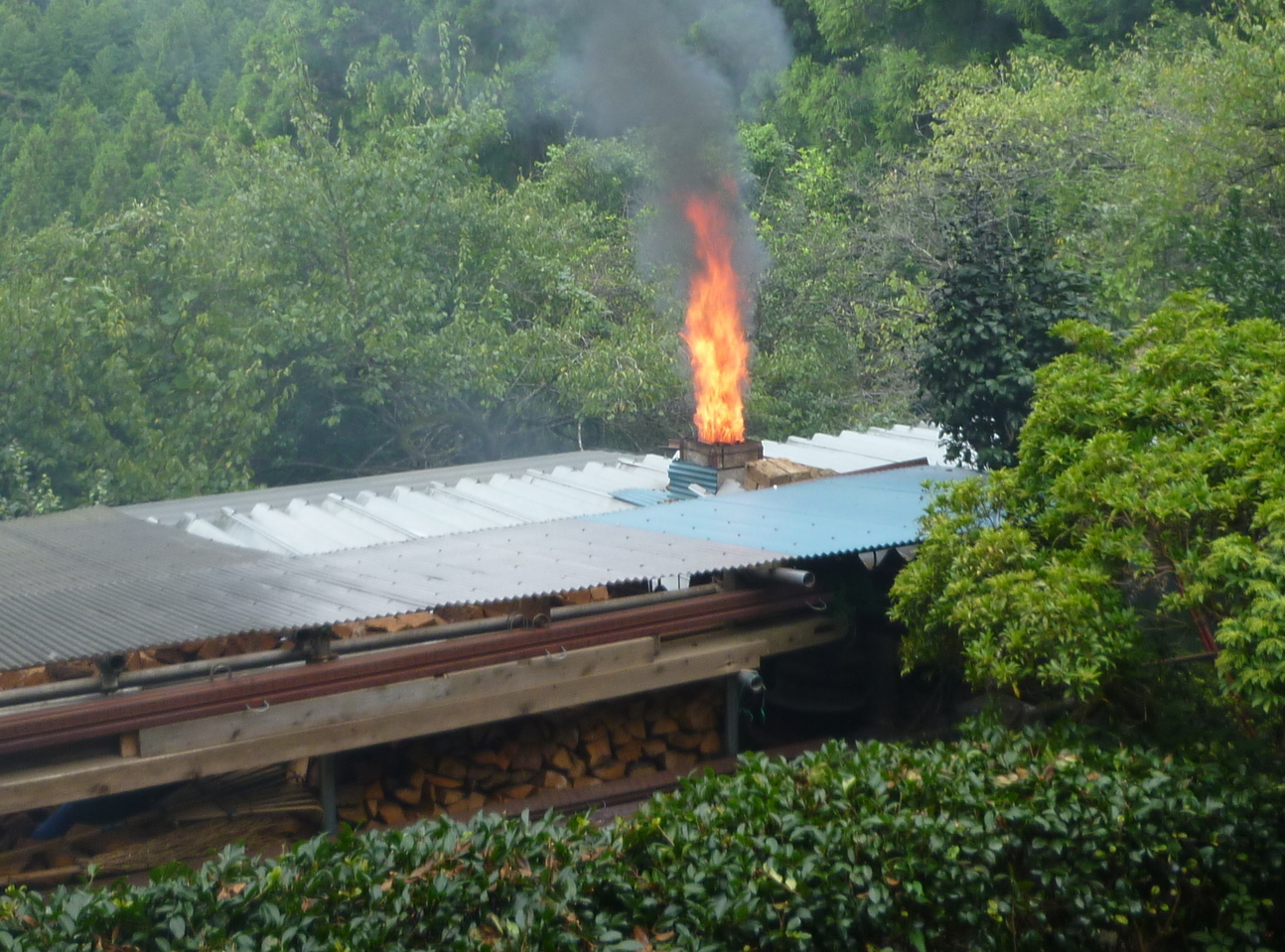 �y�V�эH�[�@�y��