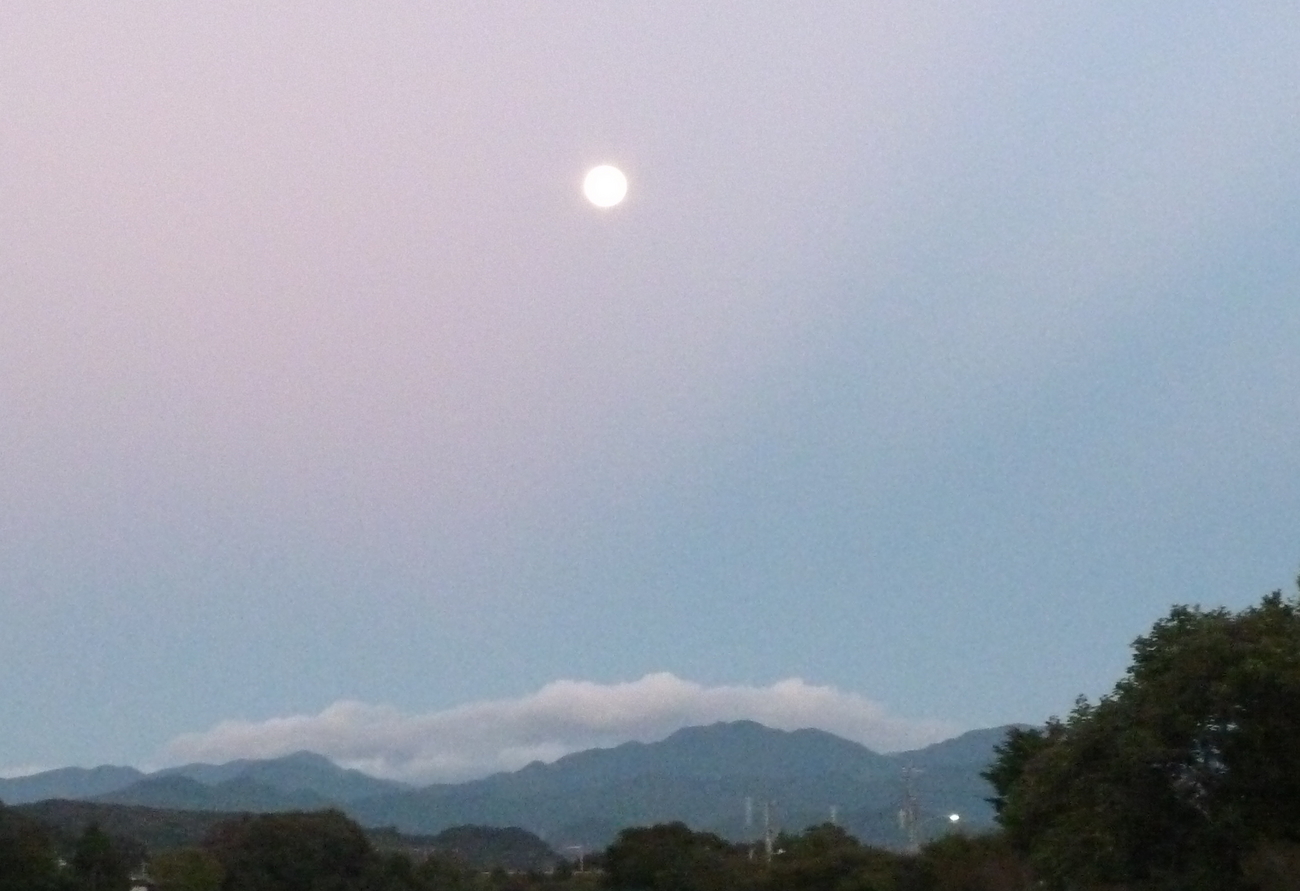 �y�V�эH�[�@�y��