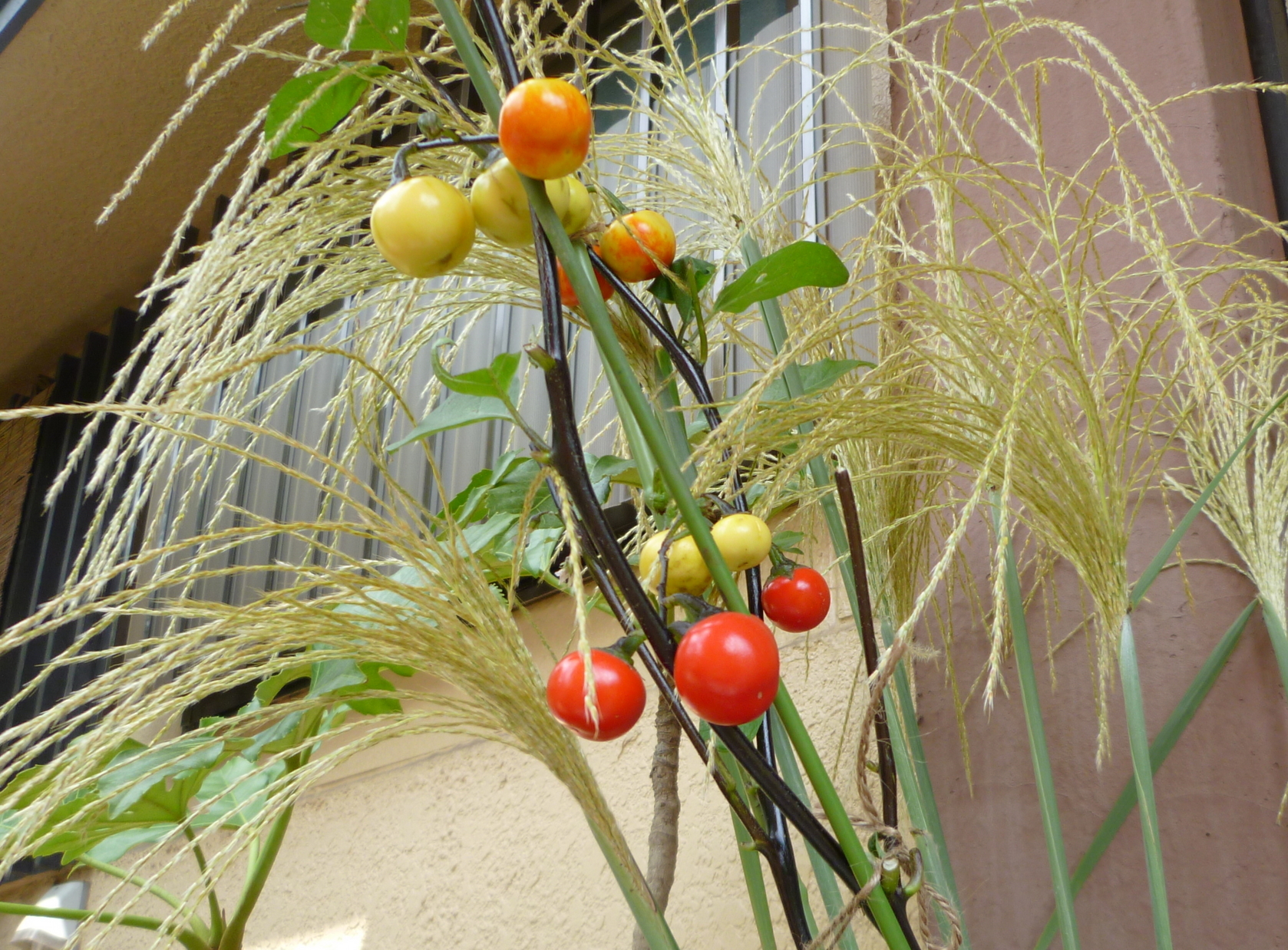 �y�V�эH�[�@�y��