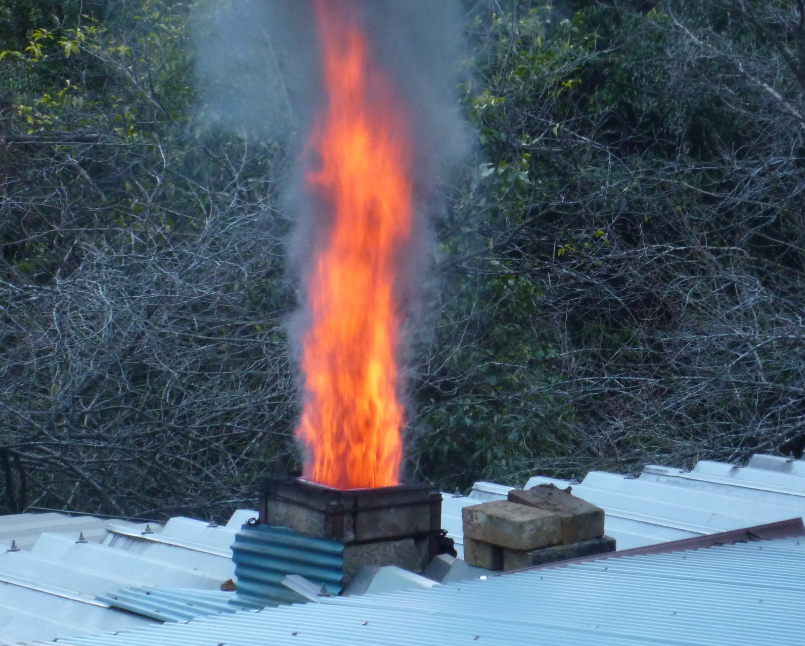 �y�V�эH�[�@�y��