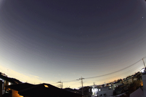 ��̕���