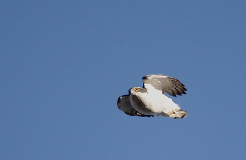 ��̕���