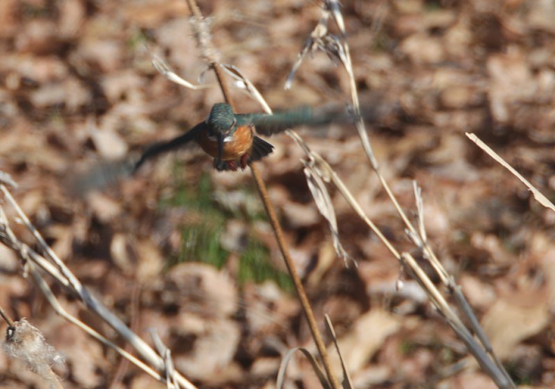 ��̕���