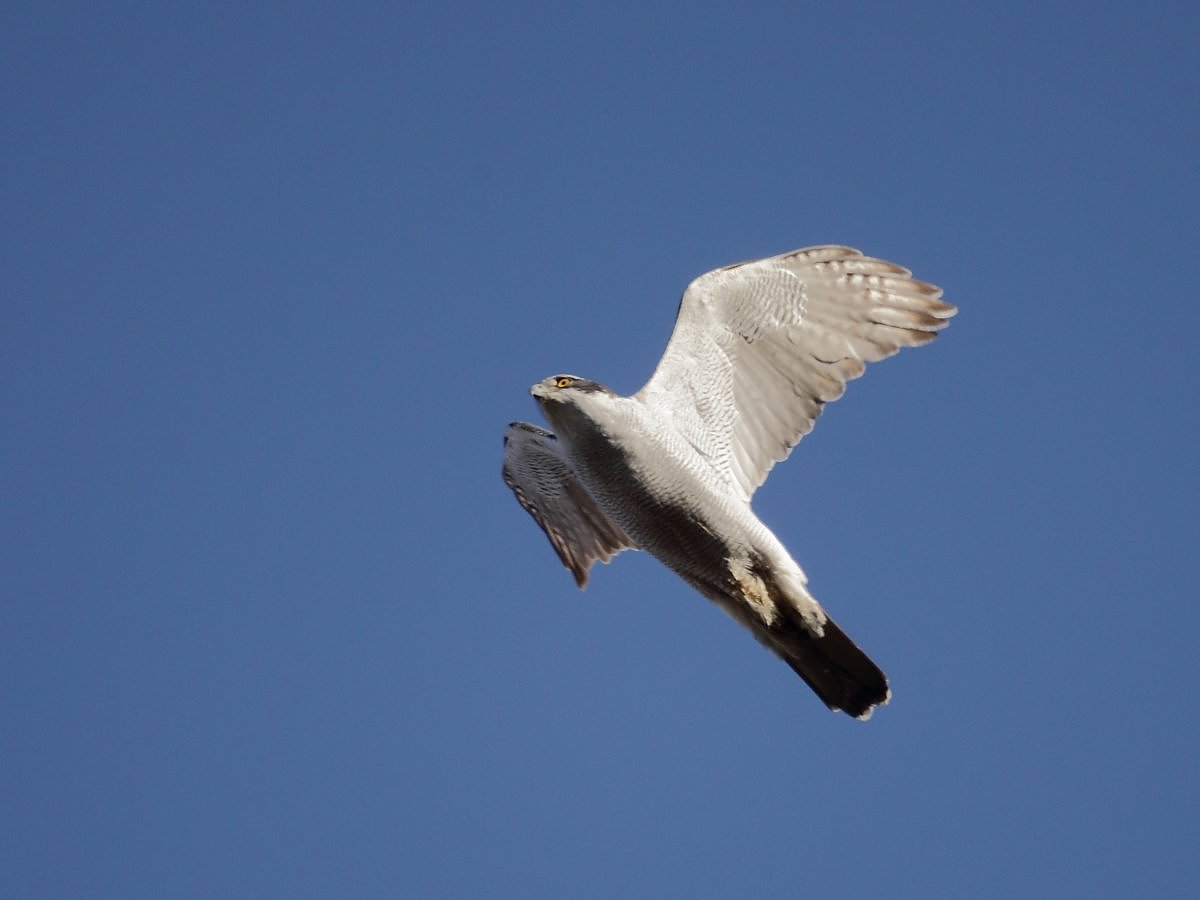 ��̕���