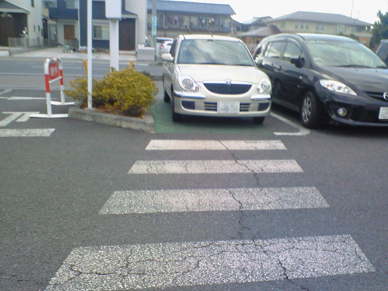 ��̕���