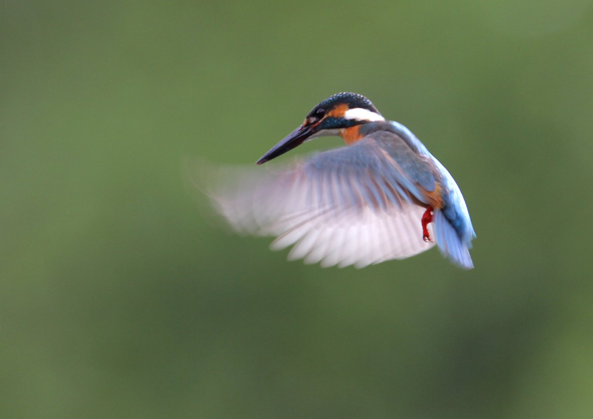 ��̕���