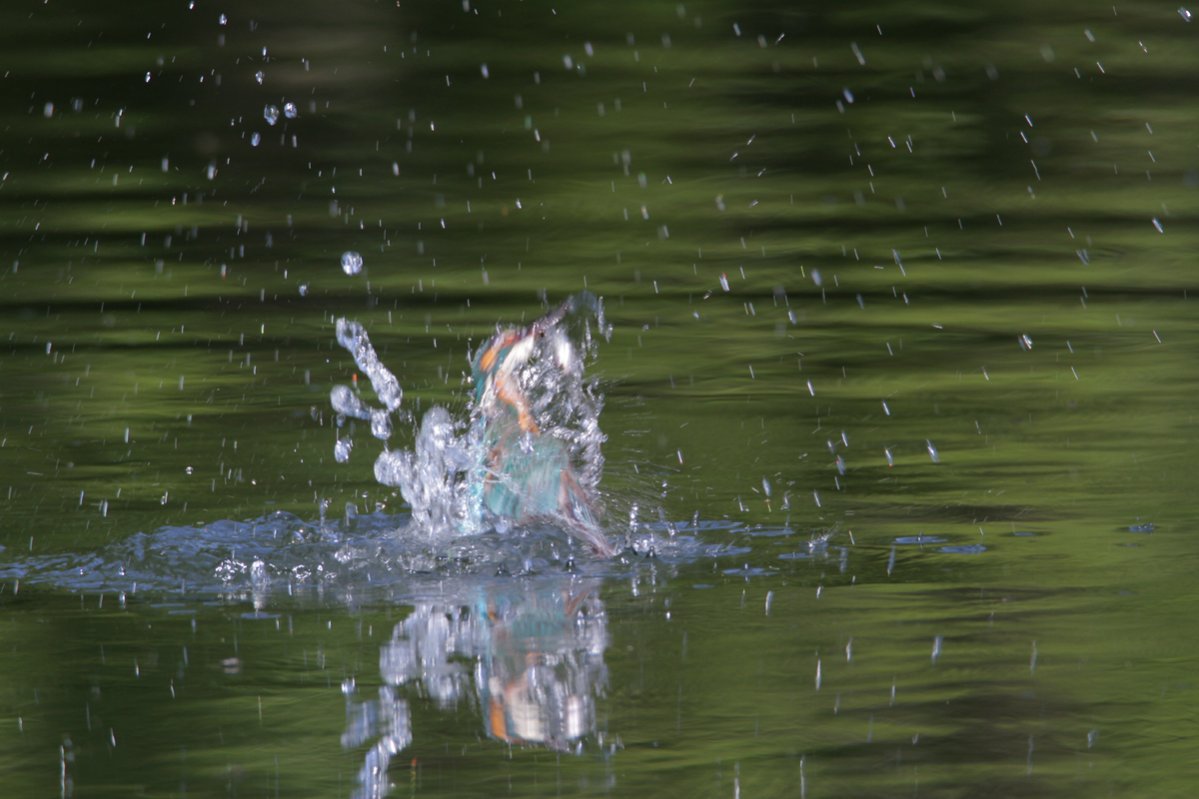 ��̕���