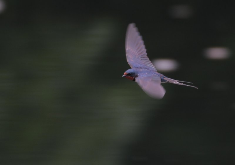 ��̕���