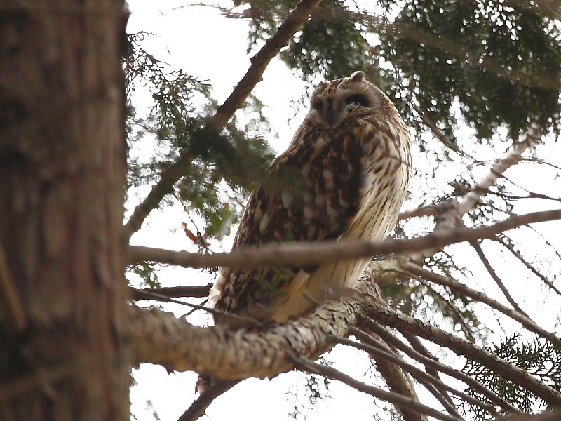 ��̕���