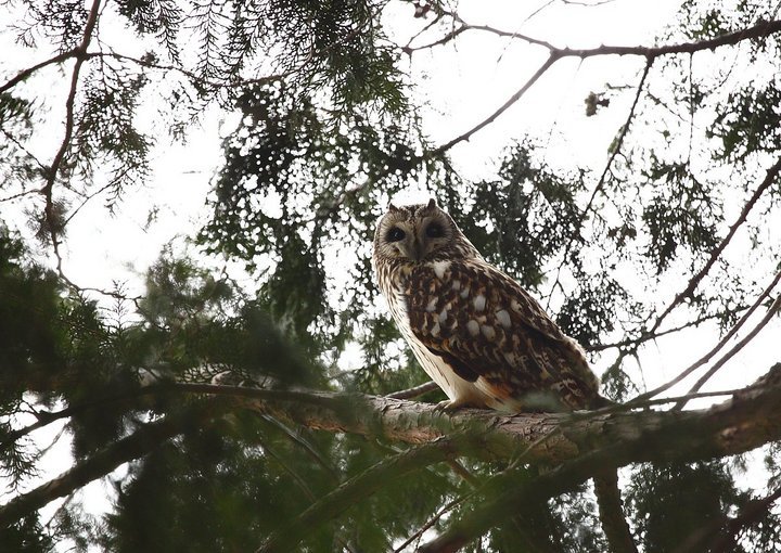 ��̕���