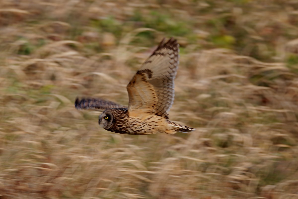 ��̕���