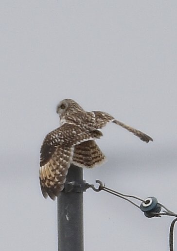 ��̕���