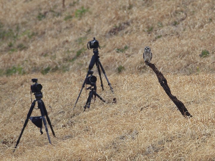 ��̕���