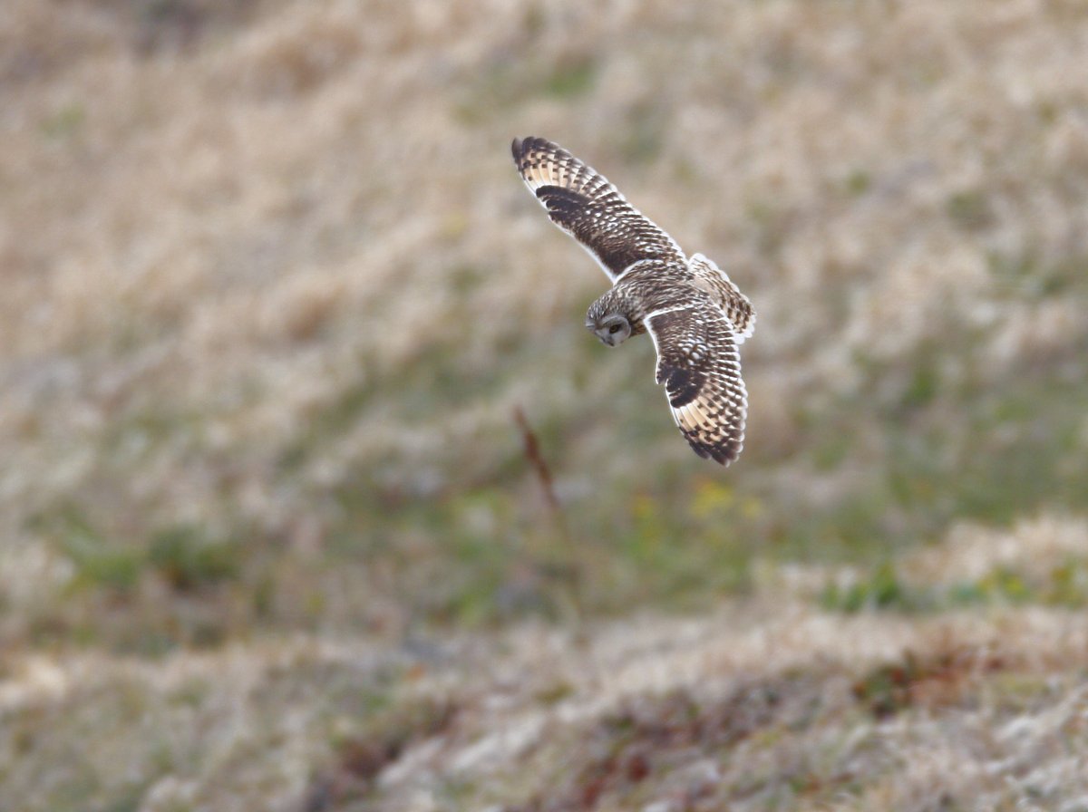 ��̕���