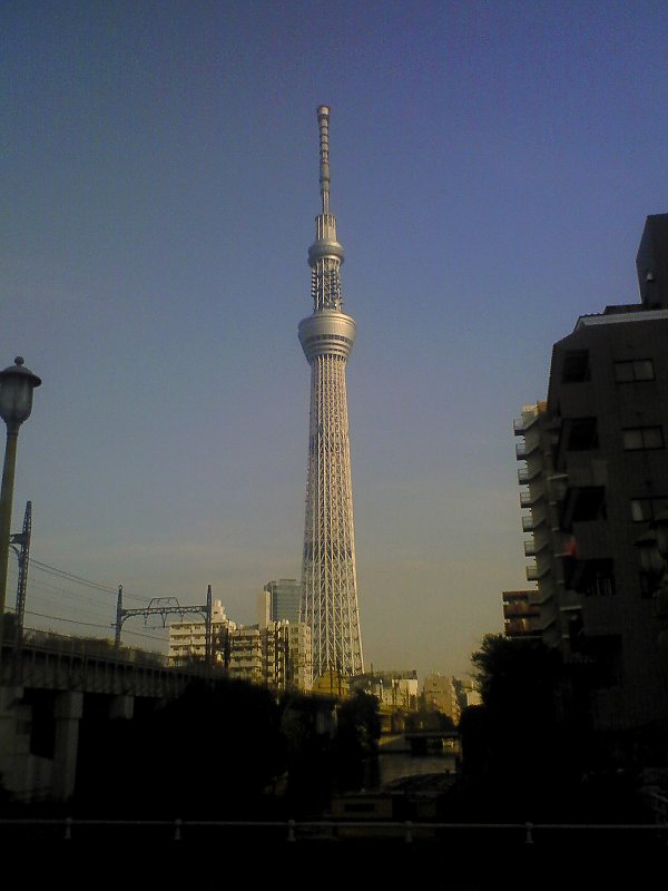 ��̕���