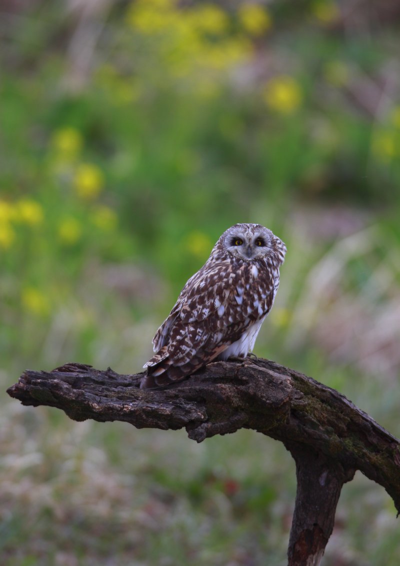 ��̕���