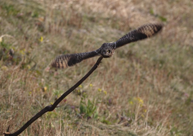 ��̕���