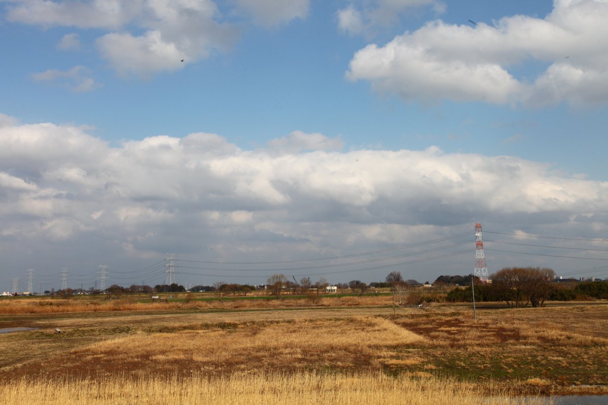 ��̕���