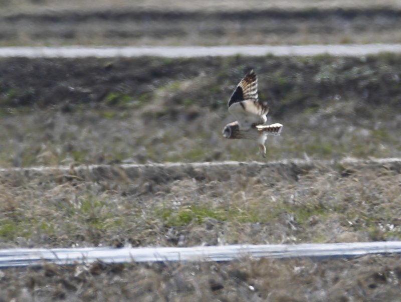 ��̕���