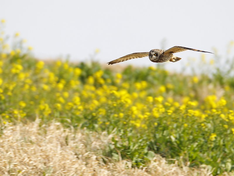 ��̕���