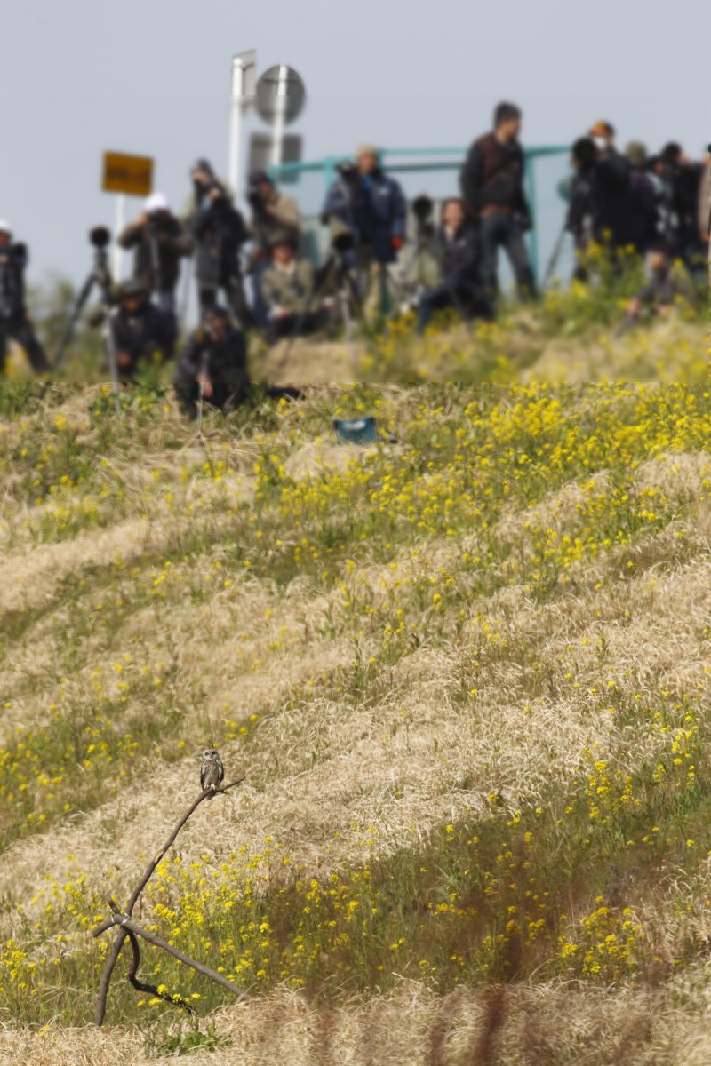 ��̕���