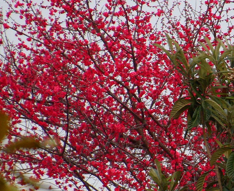 ��̕���