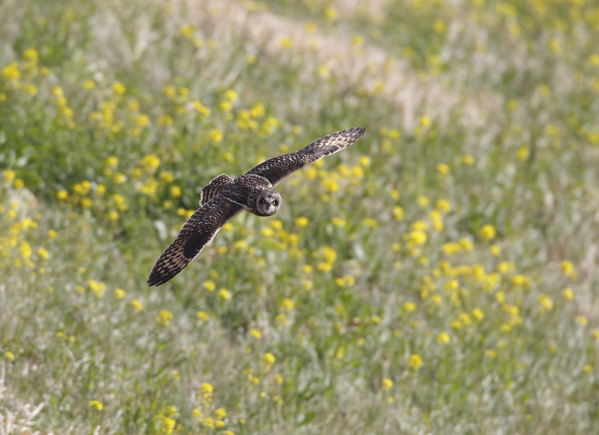 ��̕���