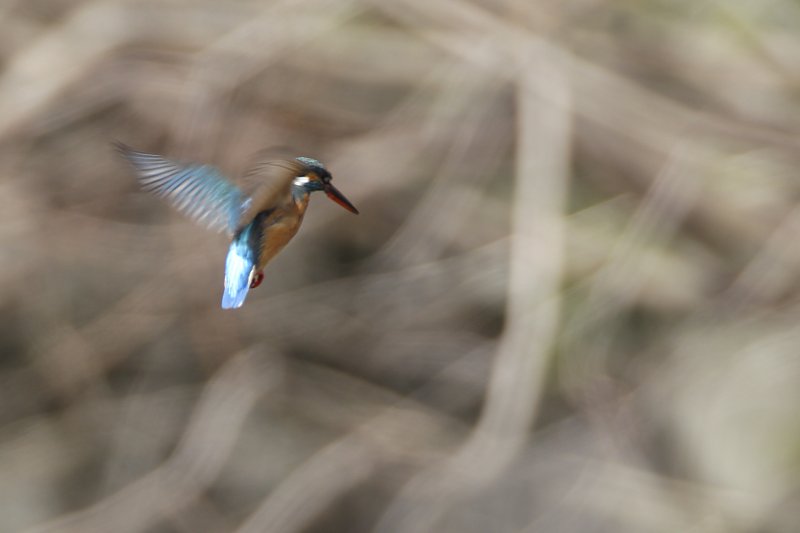 ��̕���