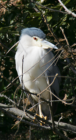 ��̕���