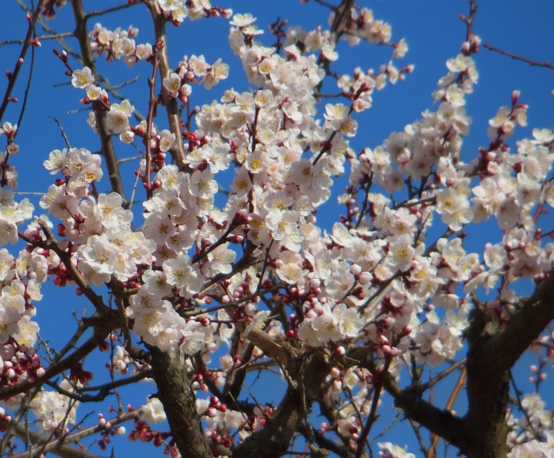 ��̕���