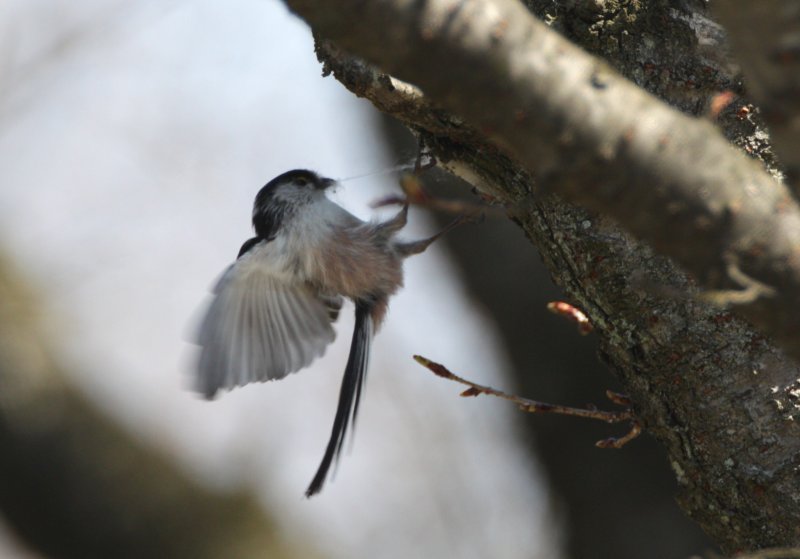 ��̕���