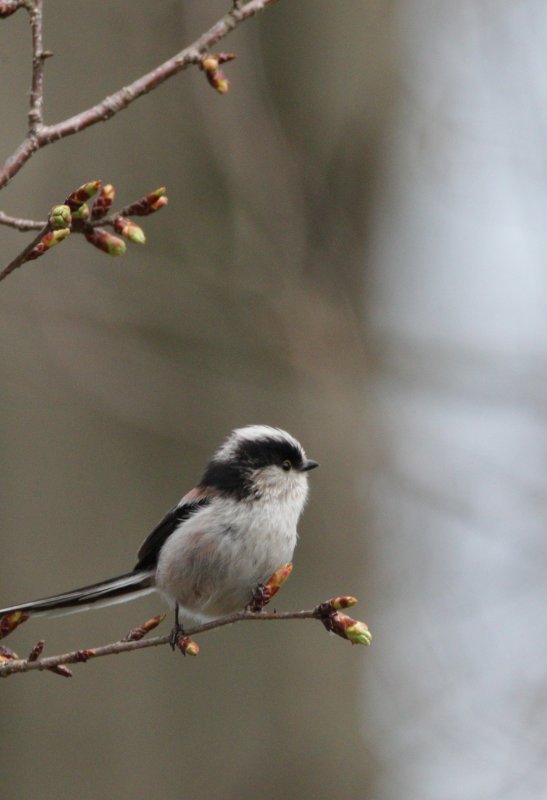 ��̕���