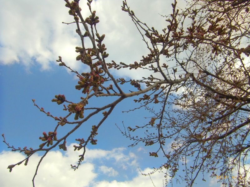 ��̕���