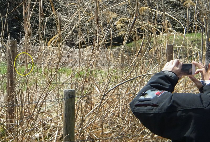 ��̕���