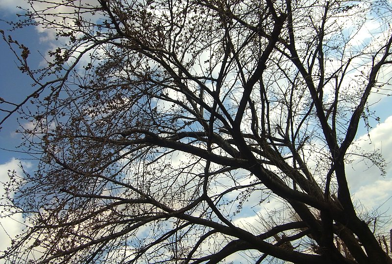 ��̕���