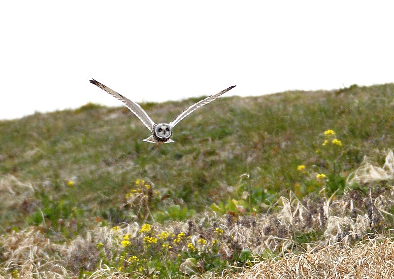 ��̕���