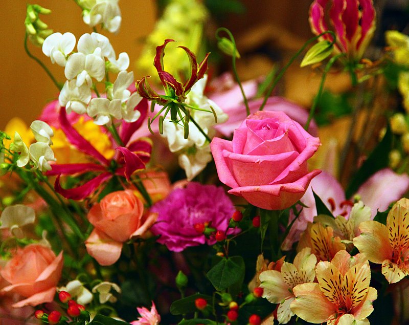 ��̕���