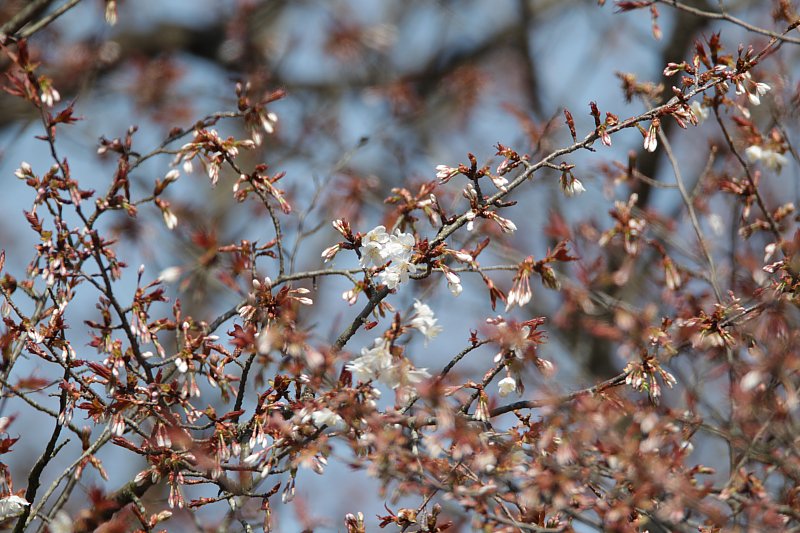 ��̕���