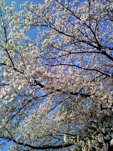 ��̕���