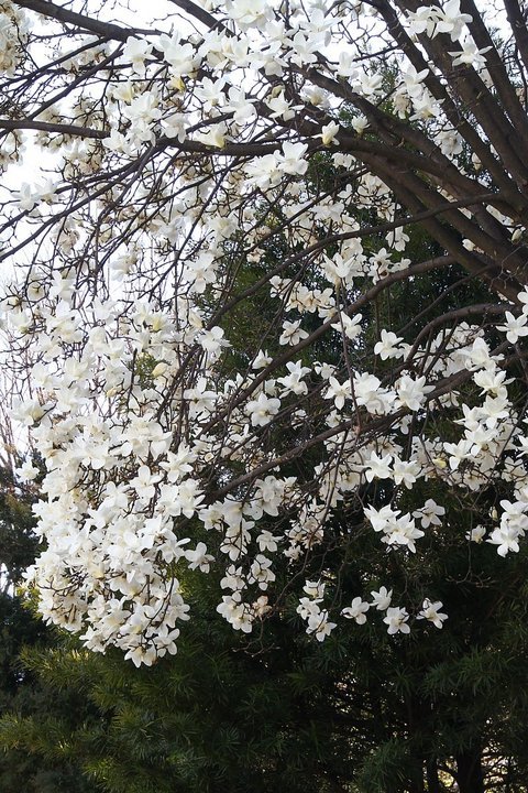 ��̕���