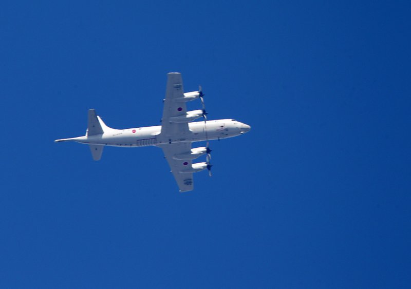 ��̕���