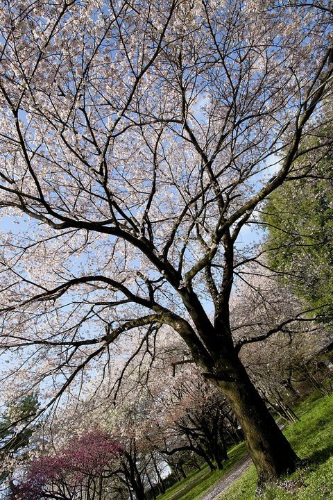 ��̕���