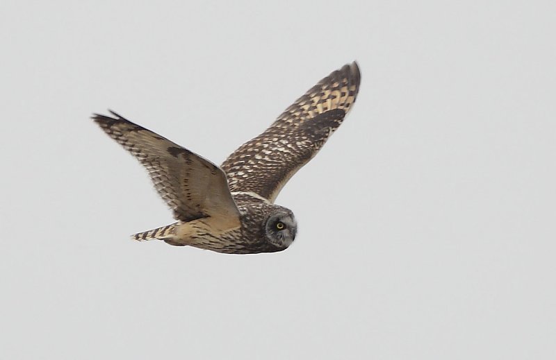 ��̕���