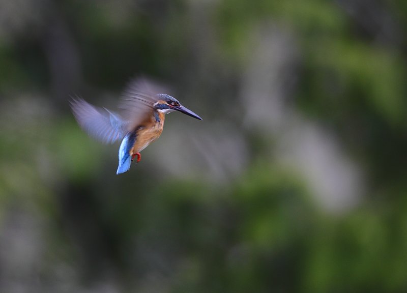 ��̕���