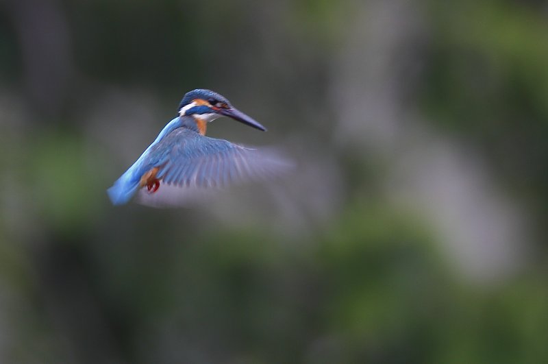 ��̕���