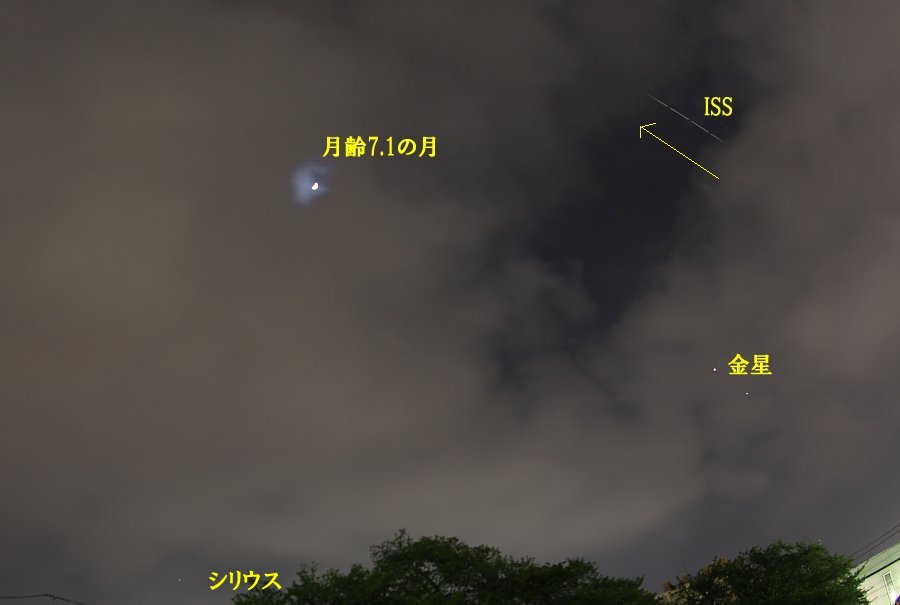 ��̕���