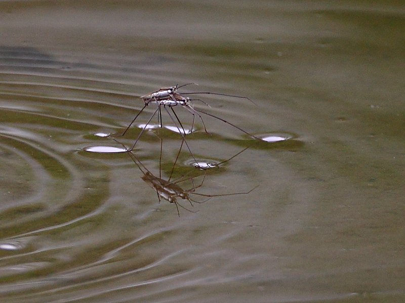 ��̕���