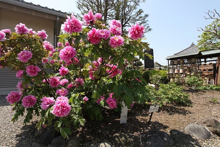 ��̕���